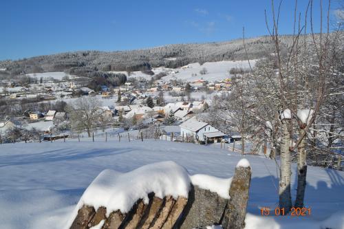 PAYSAGES D'HIVER A GEMAINGOUTTE